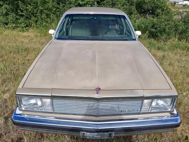 Malibu Classicfor sale