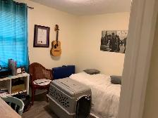 All Inclusive 2 bed Old South w/ Parking   Workshop   Yard - Photo 2