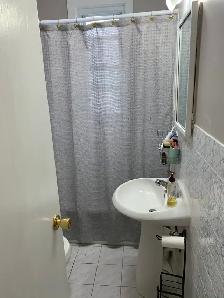 All Inclusive 2 bed Old South w/ Parking   Workshop   Yard - Photo 3