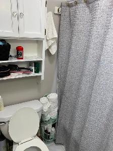 All Inclusive 2 bed Old South w/ Parking   Workshop   Yard - Photo 4