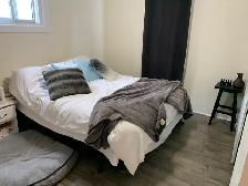 All Inclusive 2 bed Old South w/ Parking   Workshop   Yard - Photo 5
