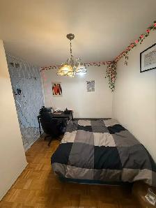 1 x Bedroom Apt, Furnished, from August 1st, Amazing Location