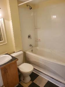 3 Bdr Bright Spacious Basement Apt available Sept 1st near DAL - Photo 4