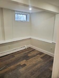 3 Bdr Bright Spacious Basement Apt available Sept 1st near DAL - Photo 6