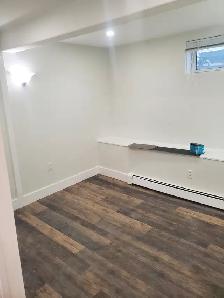 3 Bdr Bright Spacious Basement Apt available Sept 1st near DAL - Photo 7
