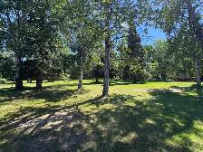 Beautiful Sled Lake Property -Lakeview- - Photo 10