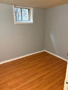 2 Bedroom Basement Apartment - Photo 4