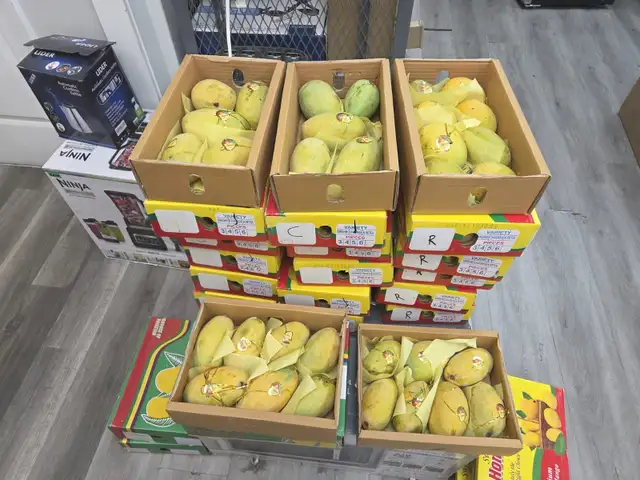 Fresh Pakistani Mangoes  Anwar Ratool & White Chaunsa.