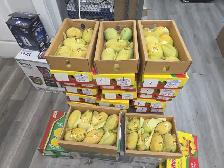 Fresh Pakistani Mangoes  Anwar Ratool & White Chaunsa.