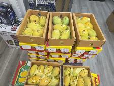 Fresh Pakistani Mangoes  Anwar Ratool & White Chaunsa. - Photo 7
