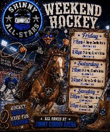 hockey / shinny