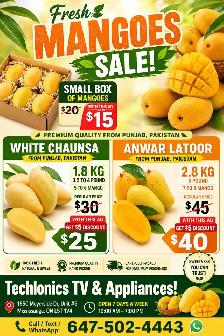 Fresh Premium Mangoes from Punjab, Pakistan