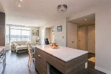 Amazing 1 bedroom in 20th floor - Photo 3