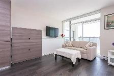 Amazing 1 bedroom in 20th floor - Photo 9