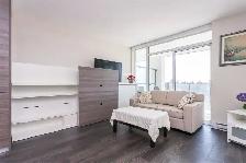 Amazing 1 bedroom in 20th floor - Photo 10