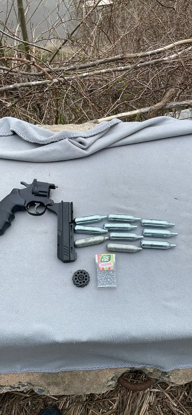 C02 Pellet/BB Gun