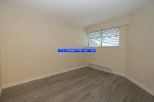 One Bedroom Apartment Next to Seawall - Photo 6