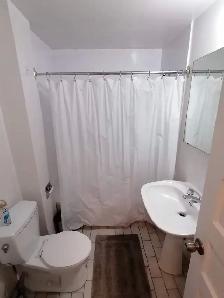 Furnished Large 1 Bedroom Apt - ground floor of a house, in-unit - Photo 4