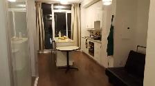Luxury 1 1 bedroom penthouse in the heart of downtown Toronto - Photo 11
