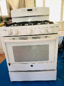 Gas stove_$100
