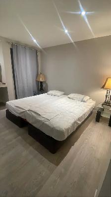 Furnished Basement Suite for Rent | Prime Central Oshawa | Aug 1 - Photo 5