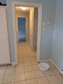 2 bedroom apartment  close to Ottawa downtown - Photo 7