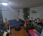 Rooms for rent (Glebe area) - Photo 4