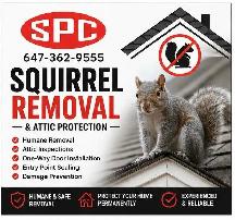 Wild Animal Removal | Raccoon & Squirrel Removal - Photo 2