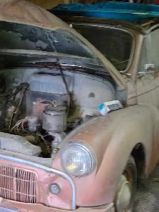 Morris n more - Photo 2
