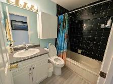 2 bedroom basement apartment close to UBC - Photo 4
