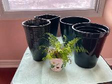 1 Beautiful Glass  and 3 Black Ceramic  Flower Pots - Photo 4