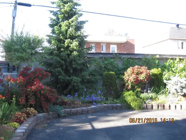 Room for professional,student short/long term!