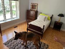 Content Sale - Estate - Photo 8