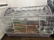 5 Month old bunny with all supplies - Photo 9