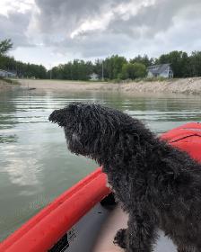 12 Crossley Bay | Lake Manitoba Narrows | Ready to Build Cottage - Photo 4
