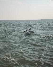 12 Crossley Bay | Lake Manitoba Narrows | Ready to Build Cottage - Photo 5