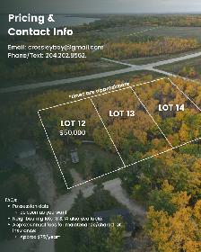 12 Crossley Bay | Lake Manitoba Narrows | Ready to Build Cottage - Photo 10