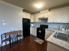 1br - 1 Bed   1 Bath House for Rent in Richmond - Photo 4