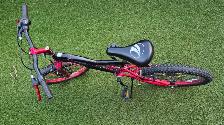 Vélo enfant 20 po Bike - Photo 2