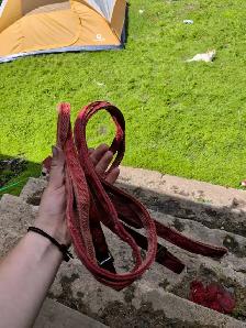 bunch of tack for sale - Photo 2