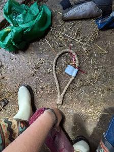 bunch of tack for sale - Photo 5