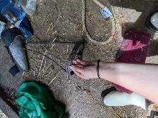 bunch of tack for sale - Photo 6