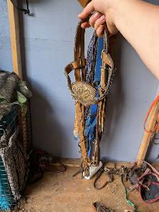 bunch of tack for sale - Photo 9