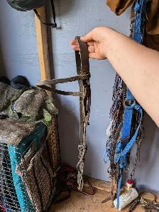 bunch of tack for sale - Photo 10