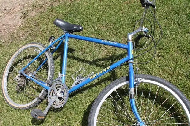 Adult  Bicycle