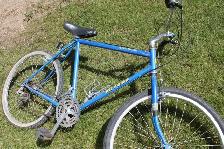 Adult  Bicycle
