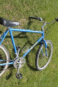 Adult  Bicycle - Photo 2