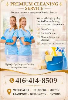 European Cleaning Lady