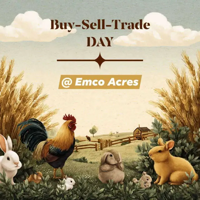 Fur & Feather, Buy-Sell-Trade Day