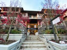 1 bedroom condo for rent Coquitlam close to SFU and skytrain